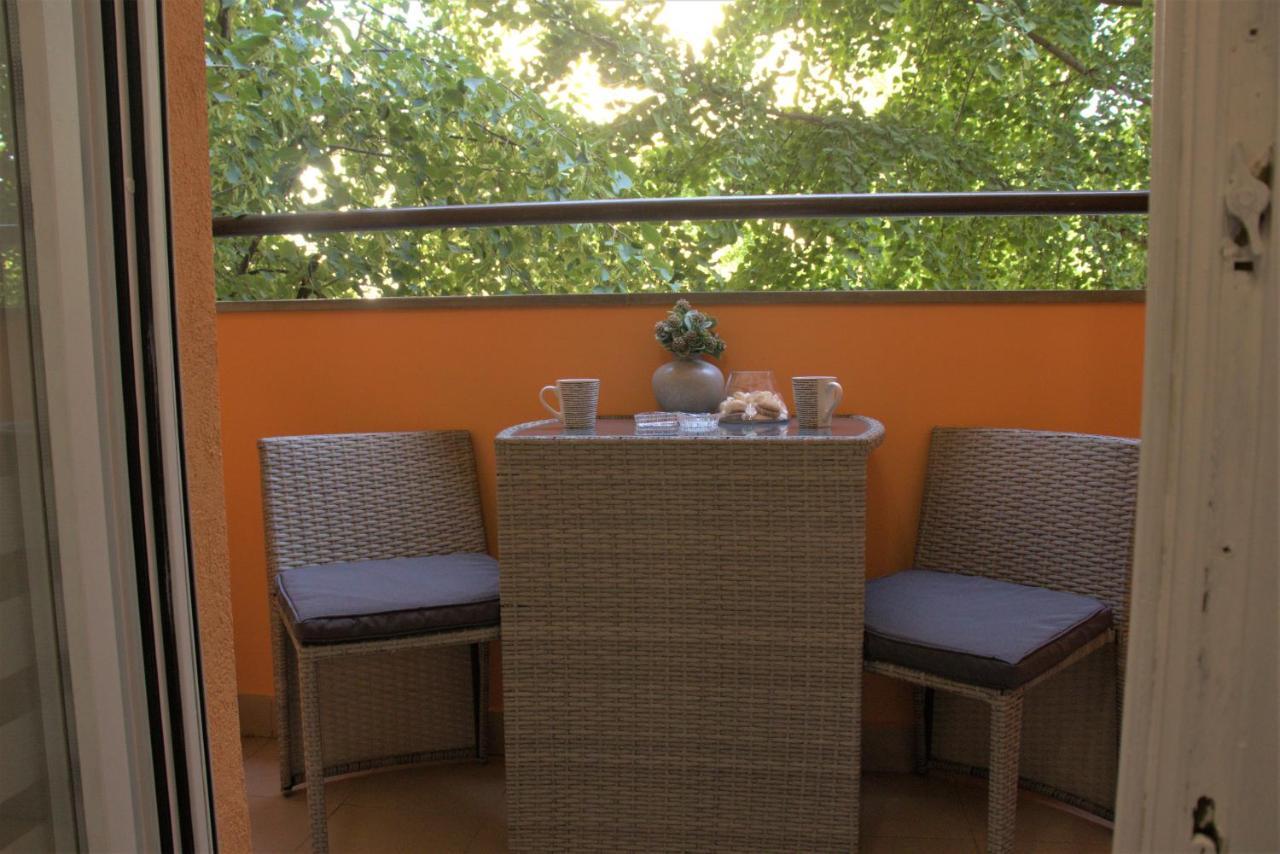 Novi Sad Apartman Tenigo エクステリア 写真
