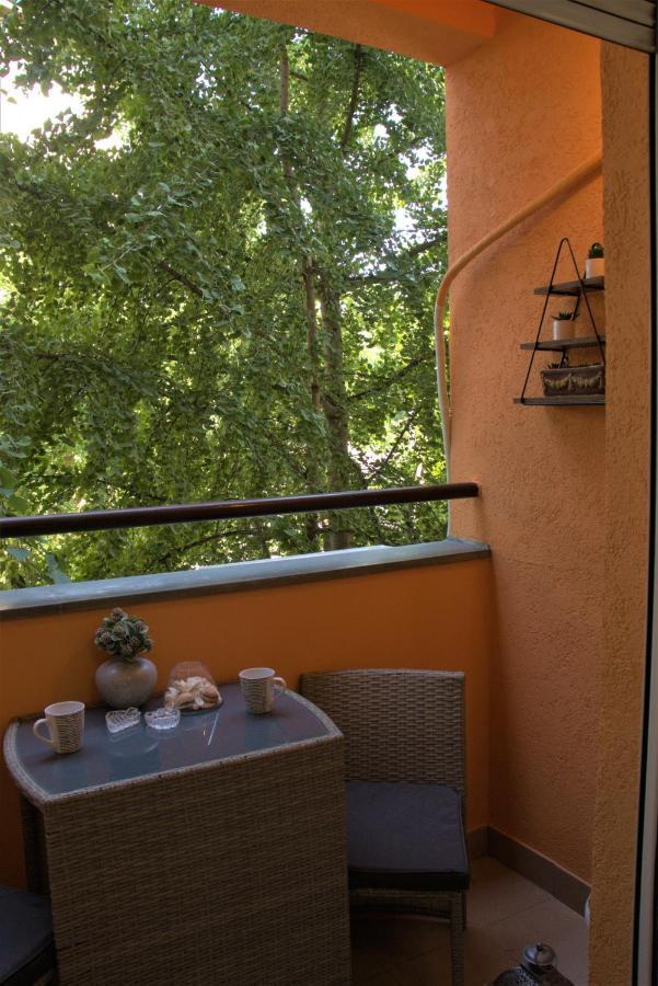 Novi Sad Apartman Tenigo エクステリア 写真